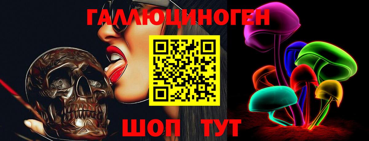 Обь  Псилоцибиновые грибы прущие грибы  Вход с VPN 