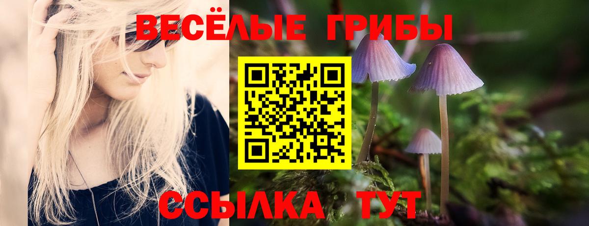 Псилоцибиновые грибы Psilocybine cubensis Обь