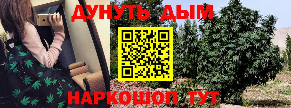 Бошки марихуана THC 21% Обь